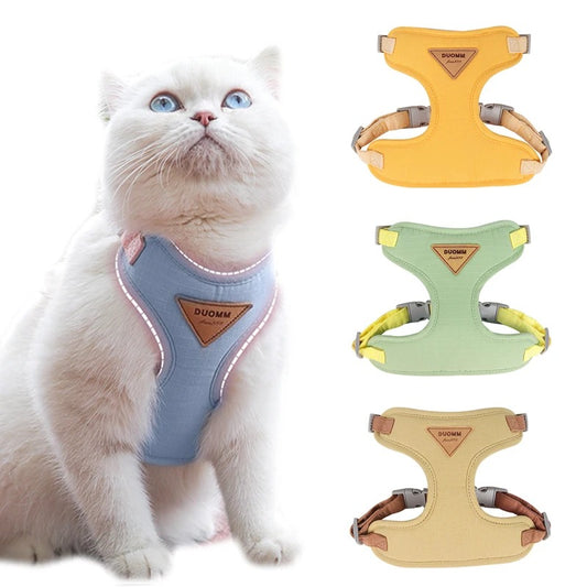 The Best Cat Harness for Your Cat's & Kittens: Why This Cat Harness Stands Out