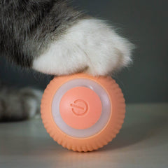 Automatic Rolling Cat Ball - Moving Cat/Kitten Ball - Crazy Pawz  Chase Toy 