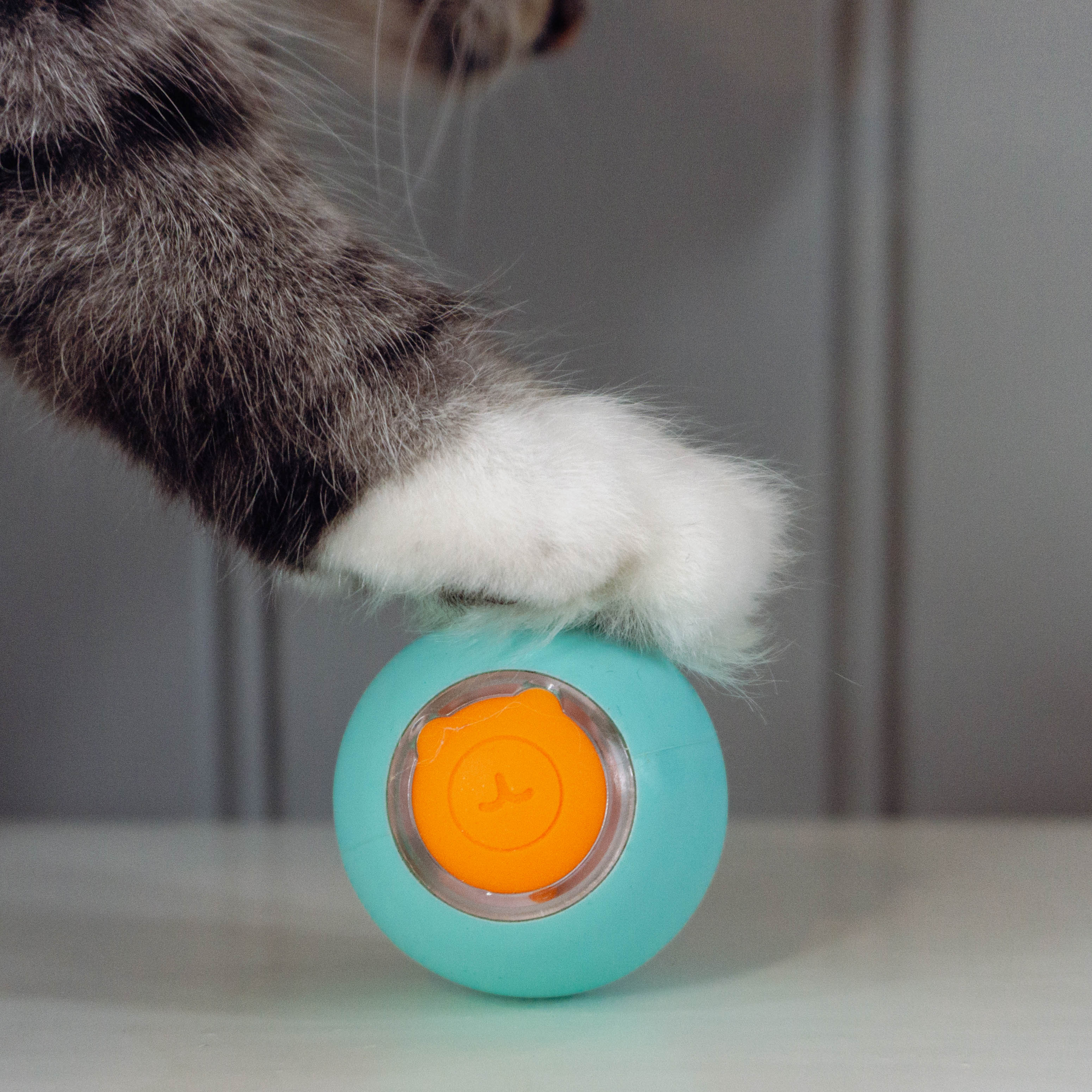 Smart Automatic Cat Ball - Moving Interactive Cat Ball - Blue & Orange - Crazy Pawz  Chase Toy 