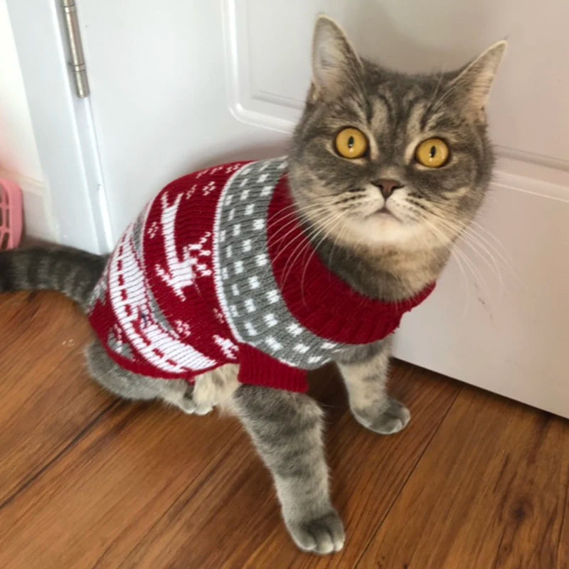 Winter Cat Sweater – Warm Pullover Jumper for Pet Cats, Sphynx, and Kittens | Warm Pet Clothes for Winter