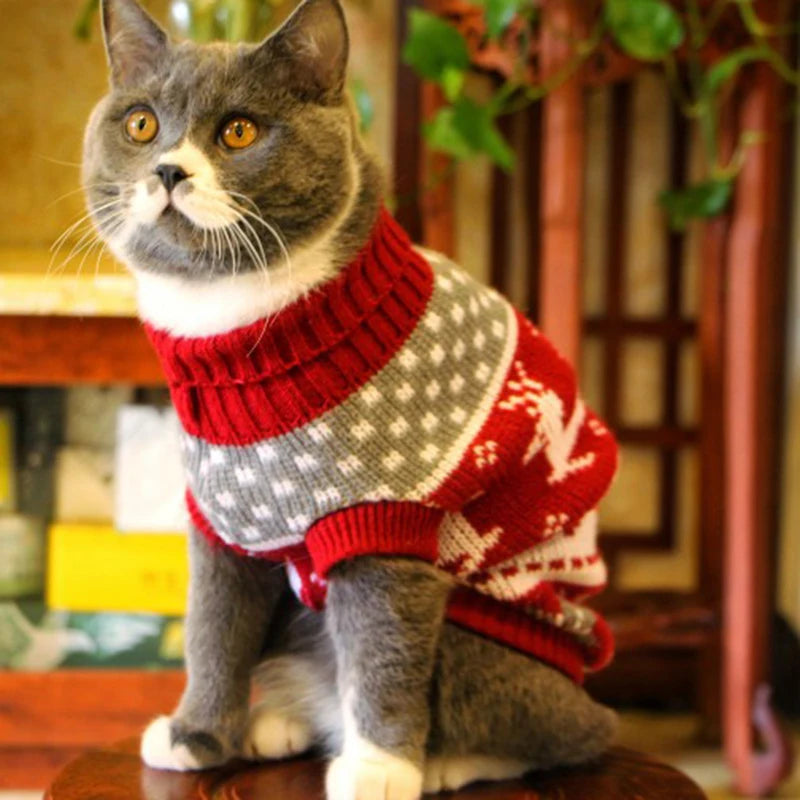 Winter Cat Sweater – Warm Pullover Jumper for Pet Cats, Sphynx, and Kittens | Warm Pet Clothes for Winter