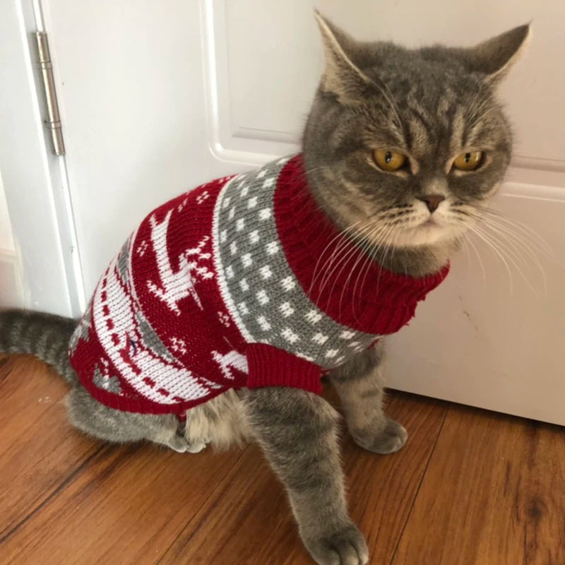 Winter Cat Sweater – Warm Pullover Jumper for Pet Cats, Sphynx, and Kittens | Warm Pet Clothes for Winter