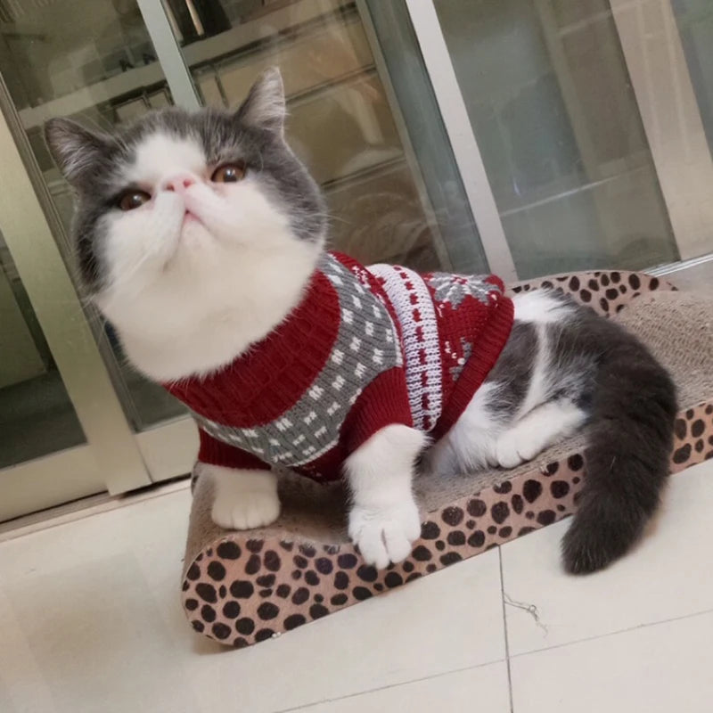 Winter Cat Sweater – Warm Pullover Jumper for Pet Cats, Sphynx, and Kittens | Warm Pet Clothes for Winter