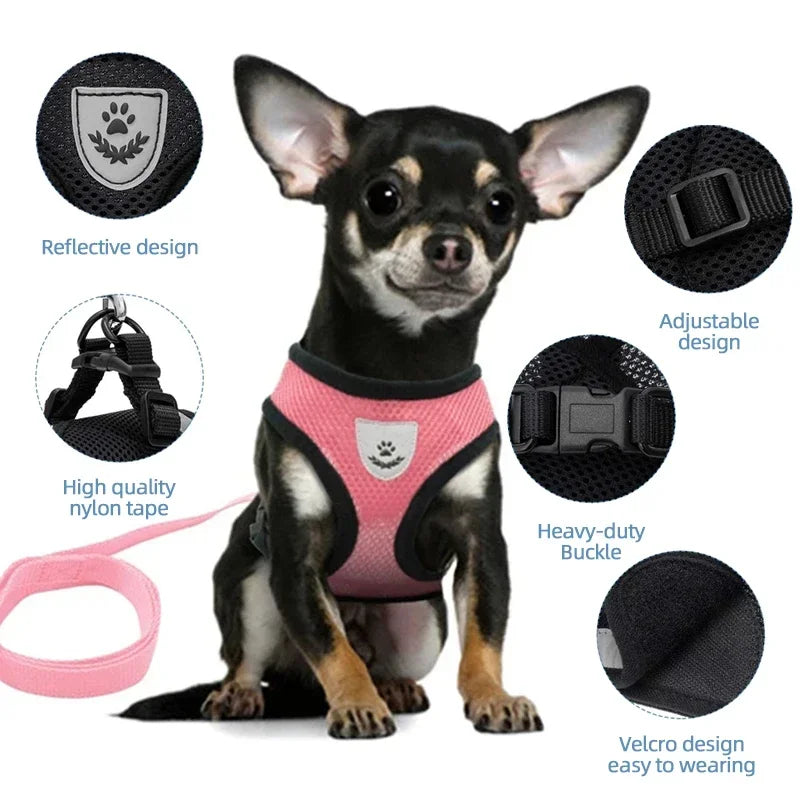 Adjustable Escape-Proof Cat Harness & Lead | Lightweight Mesh Cat Harness for Small & Large Cats