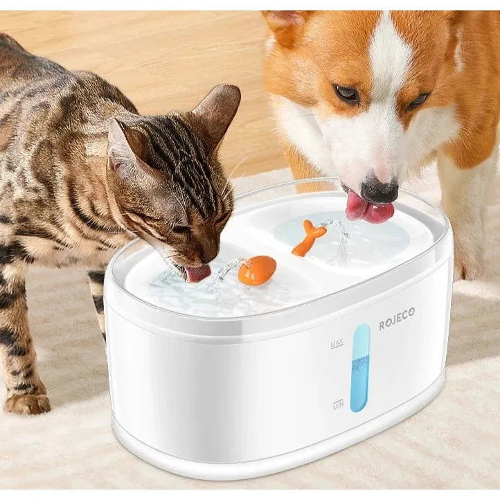 fresh water dual pet bowl for cats and dogs