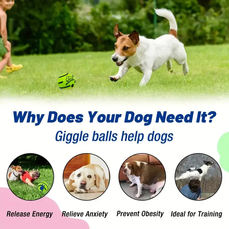 Blind Dog Toy Ball - Sound Emitting Interactive Dog Ball Chew Toy - Dog Ball -  Crazy Pawz