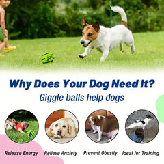 Blind Dog Toy Ball - Sound Emitting Interactive Dog Ball Chew Toy - Dog Ball -  Crazy Pawz