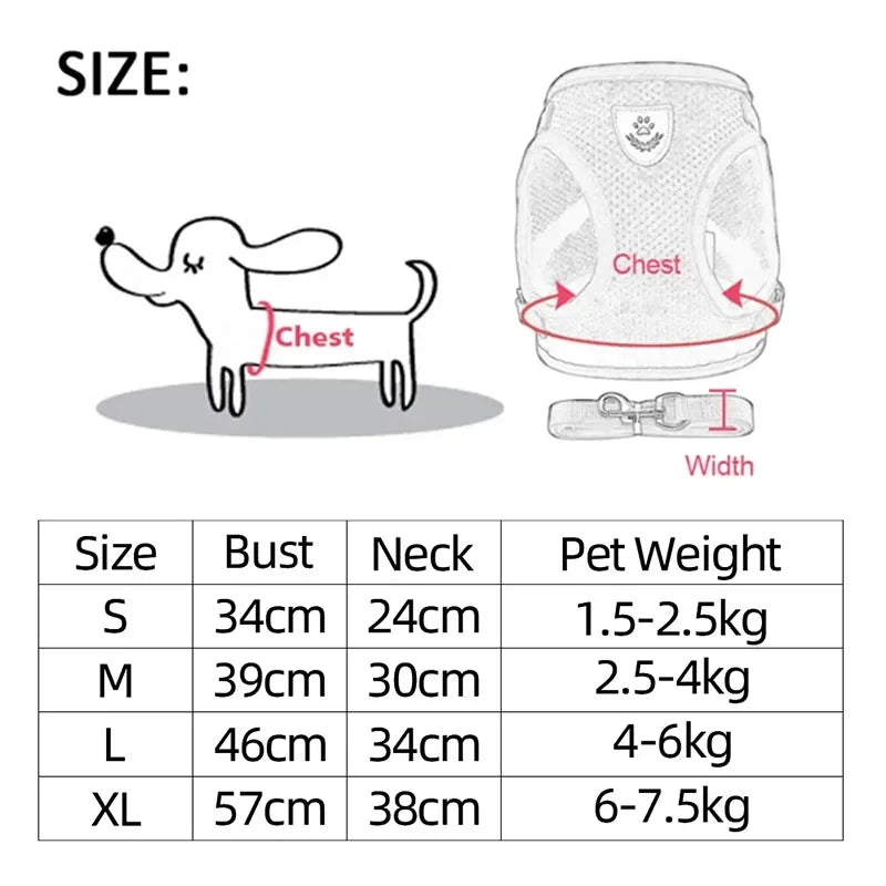 Adjustable Escape-Proof Cat Harness & Lead | Lightweight Mesh Cat Harness for Small & Large Cats