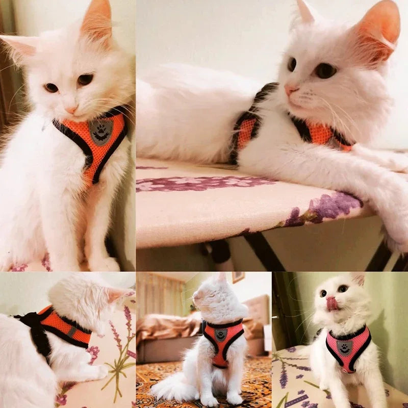 Adjustable Escape-Proof Cat Harness & Lead | Lightweight Mesh Cat Harness for Small & Large Cats