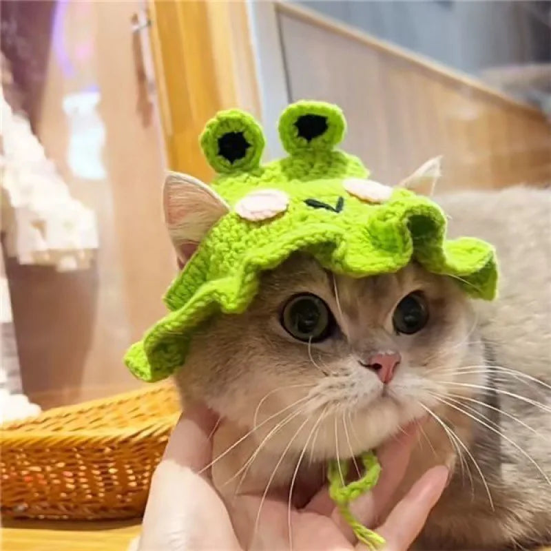 Funny Cat Hat - Cute Woven Hat for Kittens & Cats | Knitted Headwear Present for Pet's & Photo Shoots