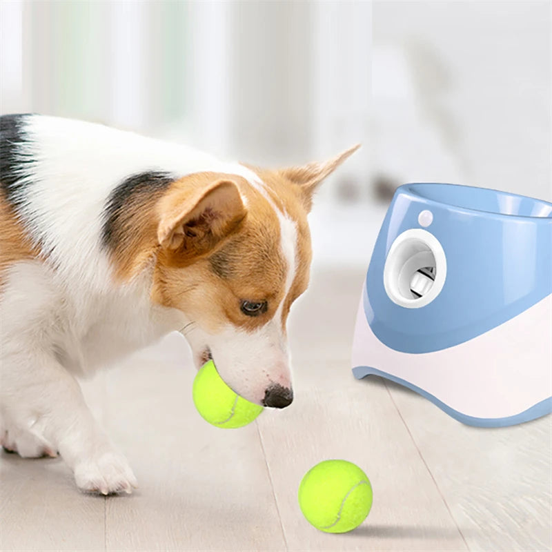 Automatic Dog Ball Launcher | Self Playing Interactive Fetch Toy for Small Pet Dogs