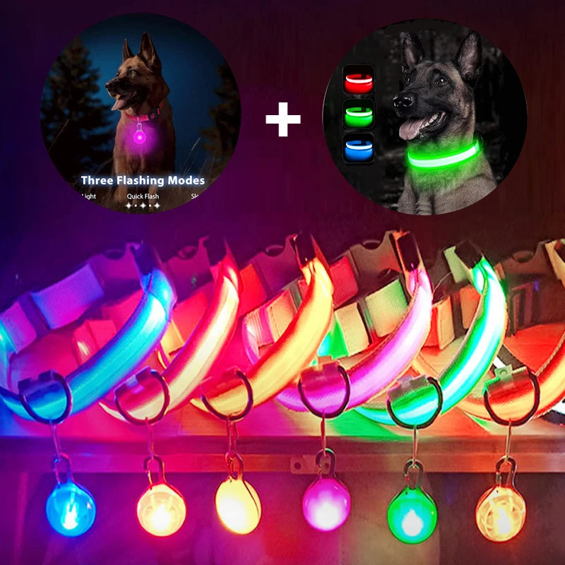 Rechargeable USB LED Glowing Dog Collar - Bright Safety Collar for Dogs & Cats XS-XL - Pet Collar -  Crazy Pawz