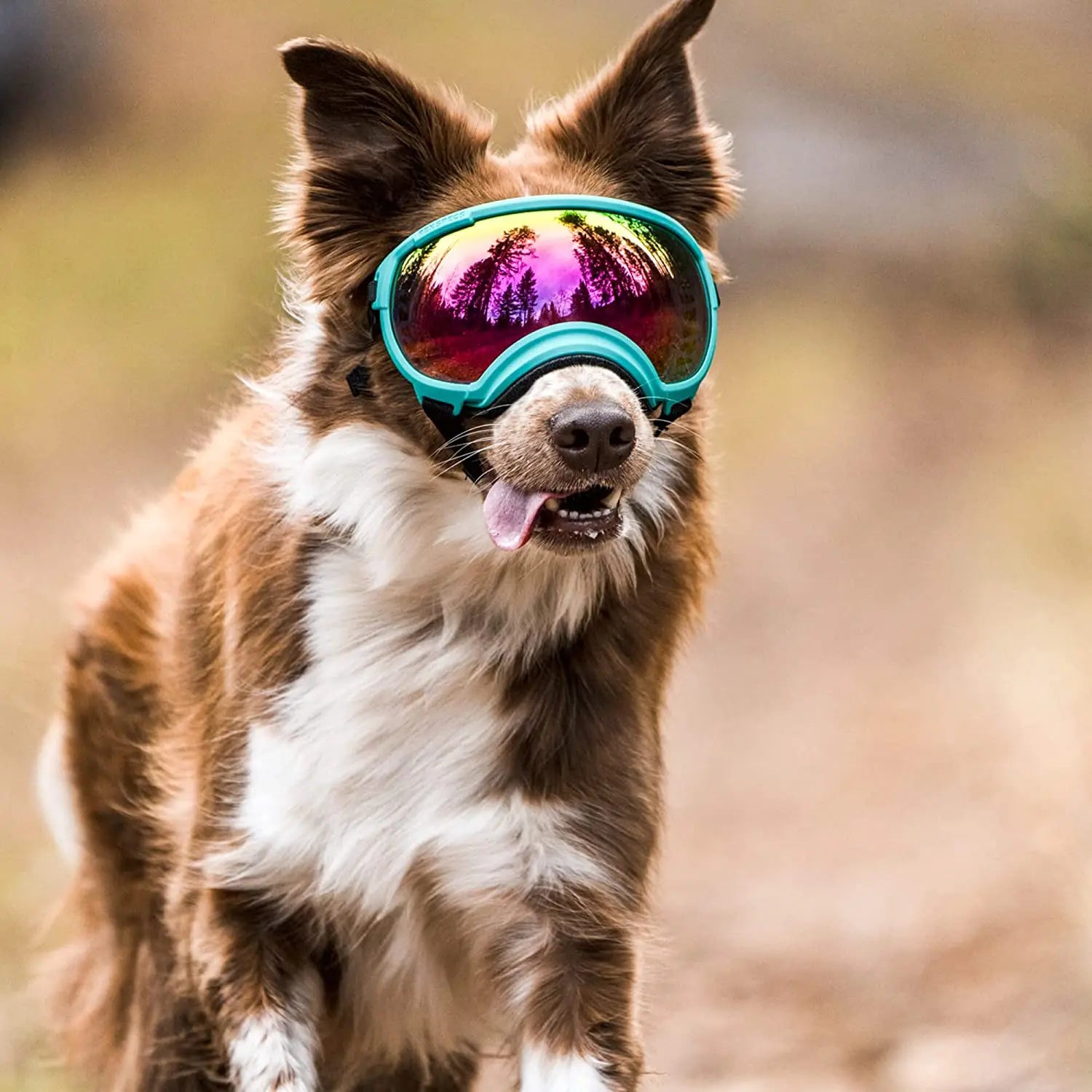 Adjustable Dog Ski Style Goggles V2 - Anti-UV Protection, Impact Resistant, Sunglasses for Small - Medium Pet Dogs