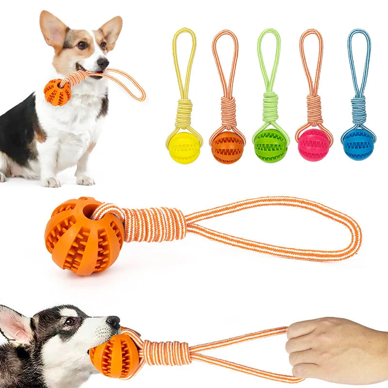 Pet Treat Ball Toy with Rope - Interactive Dog Rubber Ball Toy | Bite-Resistant Chewing Toy for Small & Large Dogs - Dog Ball -  Crazy Pawz