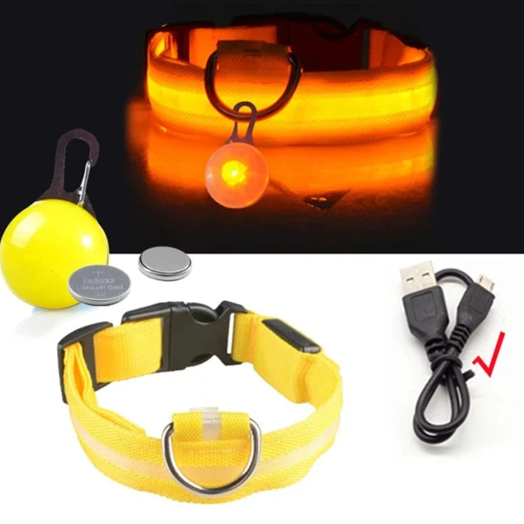 light up pet dog collar yellow