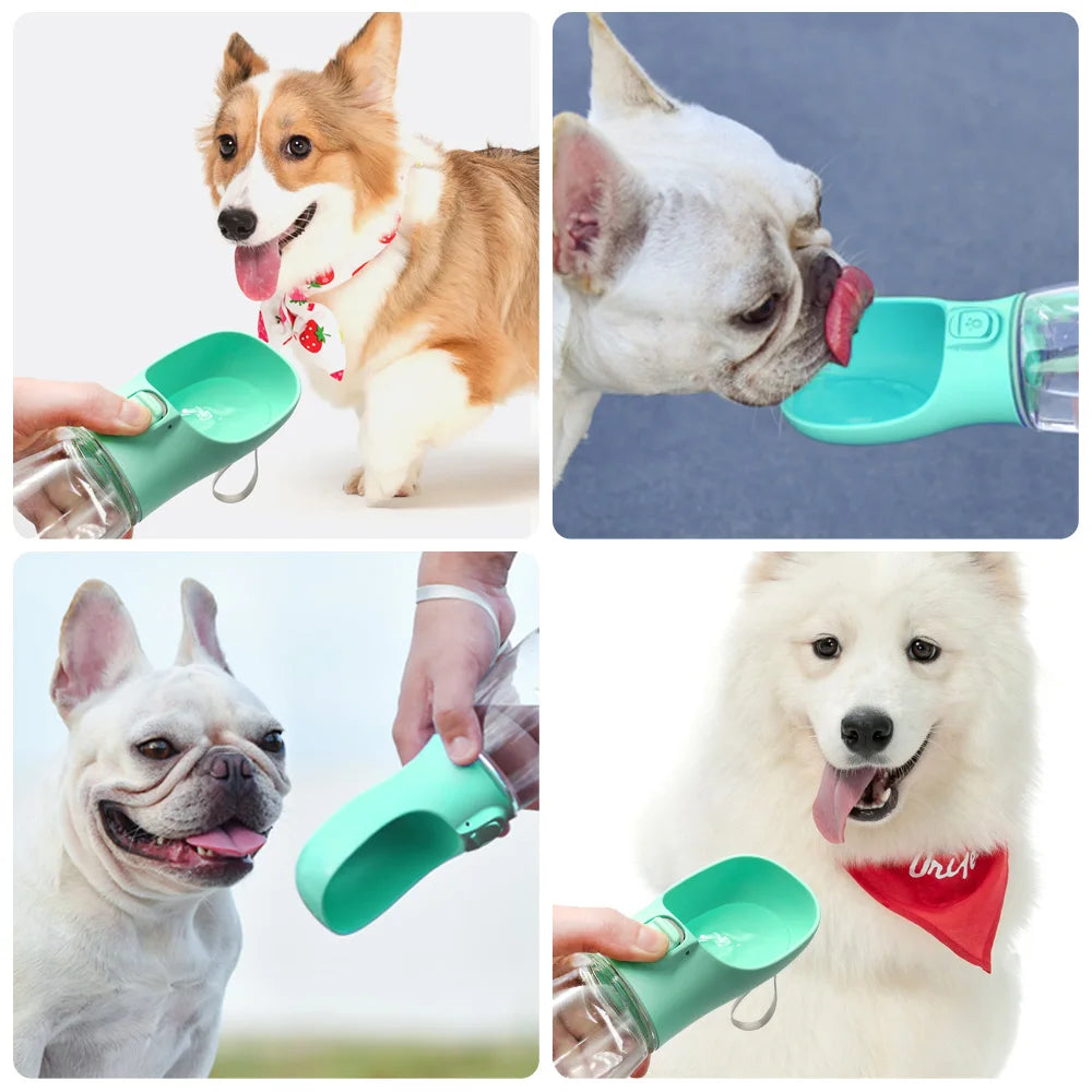 Large Portable Leakproof Dog Water Bottle - Small & Large Pet Dogs, Outdoor Walking Bottle - Pet Water Bottle -  Crazy Pawz