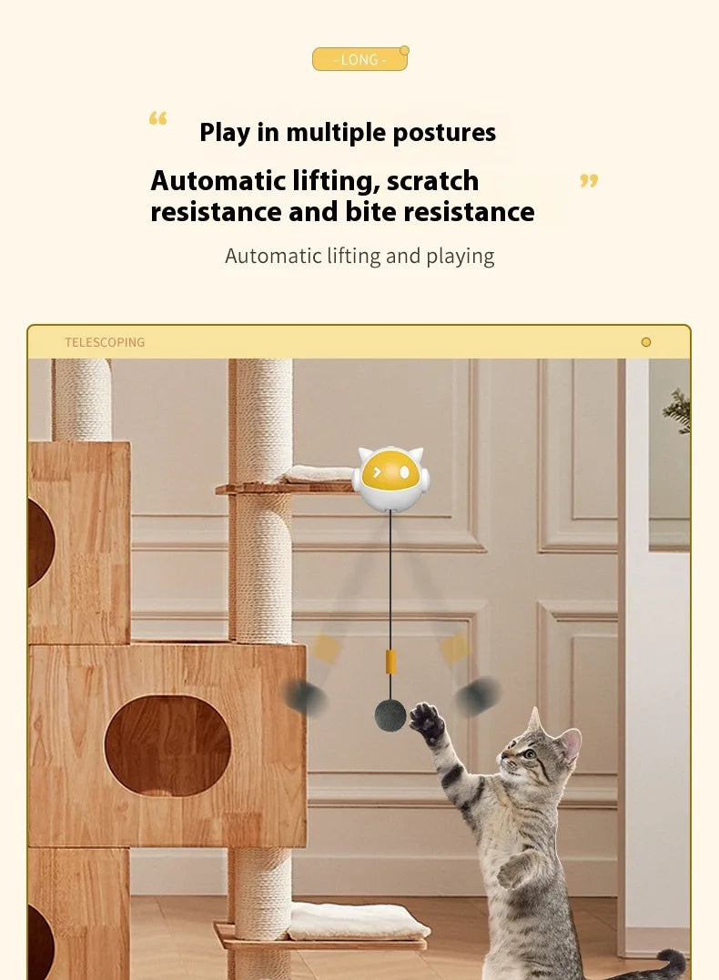 Electric Retractable Cat Toy Ball for Desk – Interactive Automatic Play Ball for Kittens/Cat's, Bite-Resistant Indoor Teasing Toy - Cat Toy -  Crazy Pawz