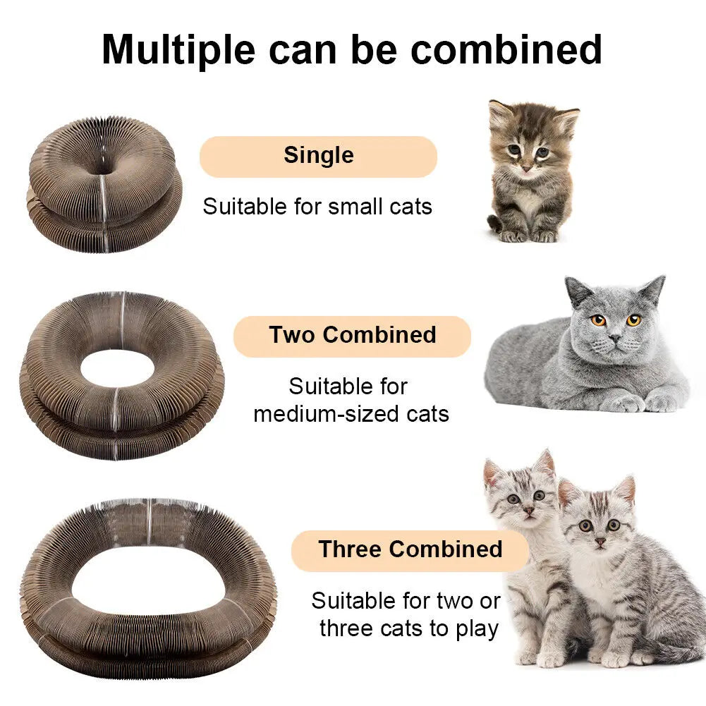 Foldable Magnet Cat Scratching Board & Interactive Toy Ring - Eco-Friendly Claw Grinding Corrugated Cardboard Pet Supplies for Cats