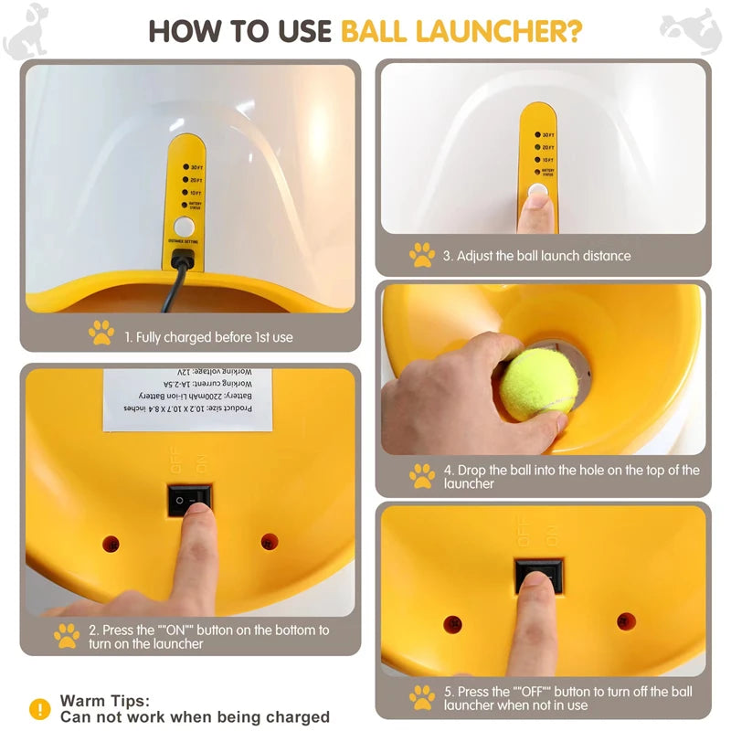 Automatic Dog Ball Launcher | Self Playing Interactive Fetch Toy for Small Pet Dogs