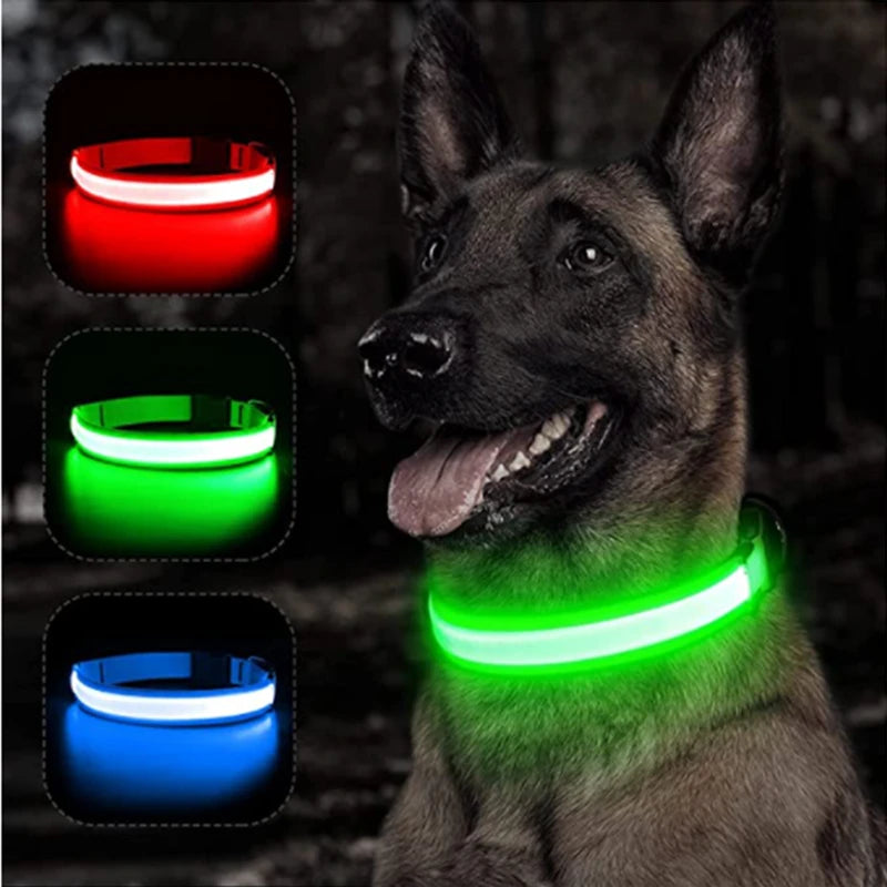 Rechargeable USB LED Glowing Dog Collar - Bright Safety Collar for Dogs & Cats XS-XL - Pet Collar -  Crazy Pawz