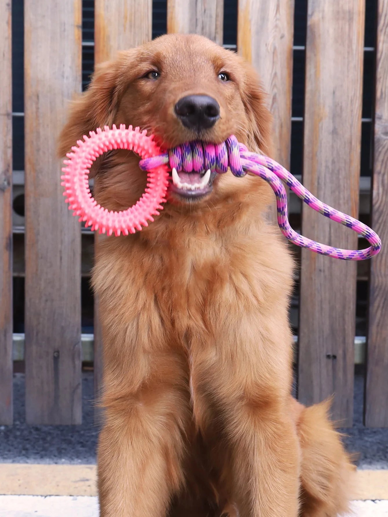 Tug & Pull Donut Ring Chew Dog Toy | Dog Rope Toys for Playful Pets