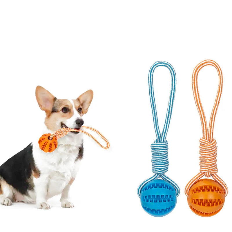 Pet Treat Ball Toy with Rope - Interactive Dog Rubber Ball Toy | Bite-Resistant Chewing Toy for Small & Large Dogs - Dog Ball -  Crazy Pawz