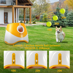 Automatic Dog Ball Launcher | Self Playing Interactive Fetch Toy for Small Pet Dogs