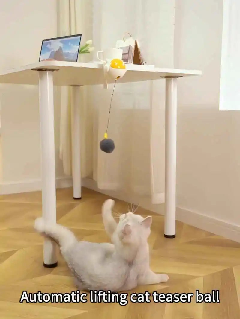 Electric Retractable Cat Toy Ball for Desk – Interactive Automatic Play Ball for Kittens/Cat's, Bite-Resistant Indoor Teasing Toy - Cat Toy -  Crazy Pawz