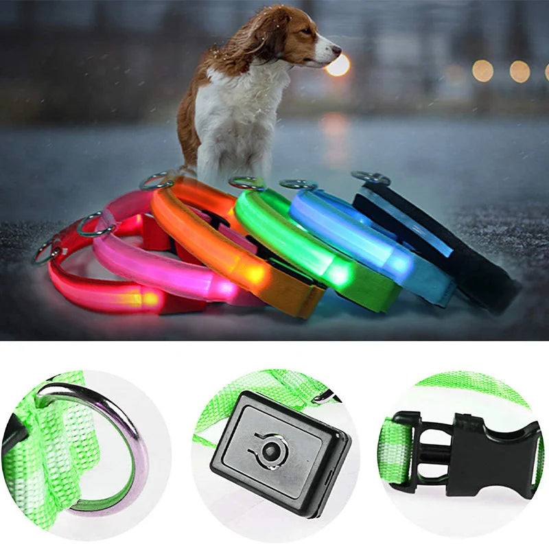 Rechargeable USB LED Glowing Dog Collar - Bright Safety Collar for Dogs & Cats XS-XL - Pet Collar -  Crazy Pawz