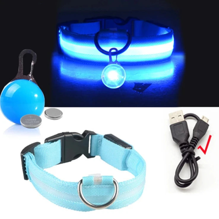 light up pet dog collar blue