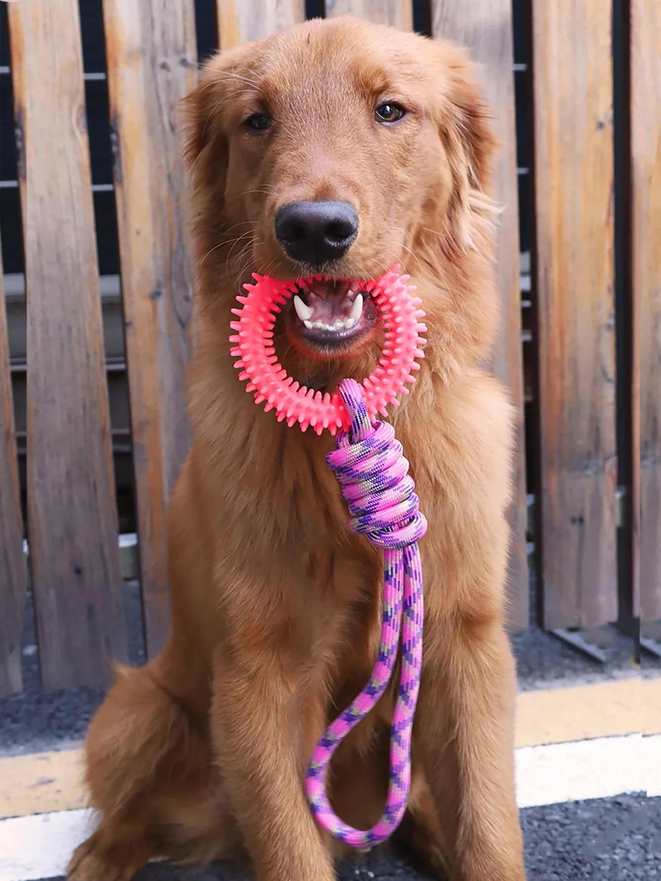 Tug & Pull Donut Ring Chew Dog Toy | Dog Rope Toys for Playful Pets