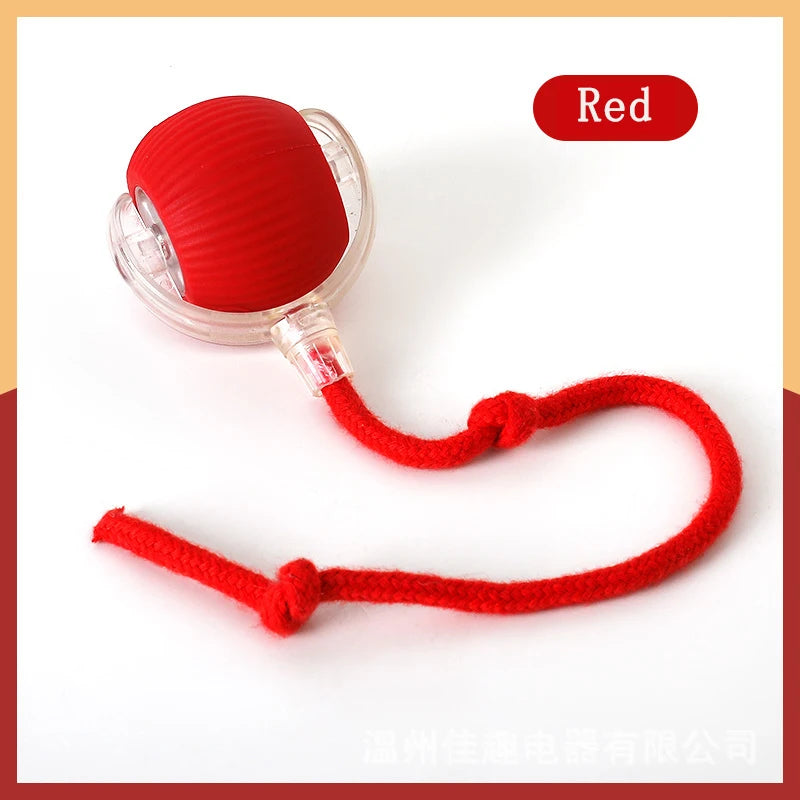 red string cat ball toy