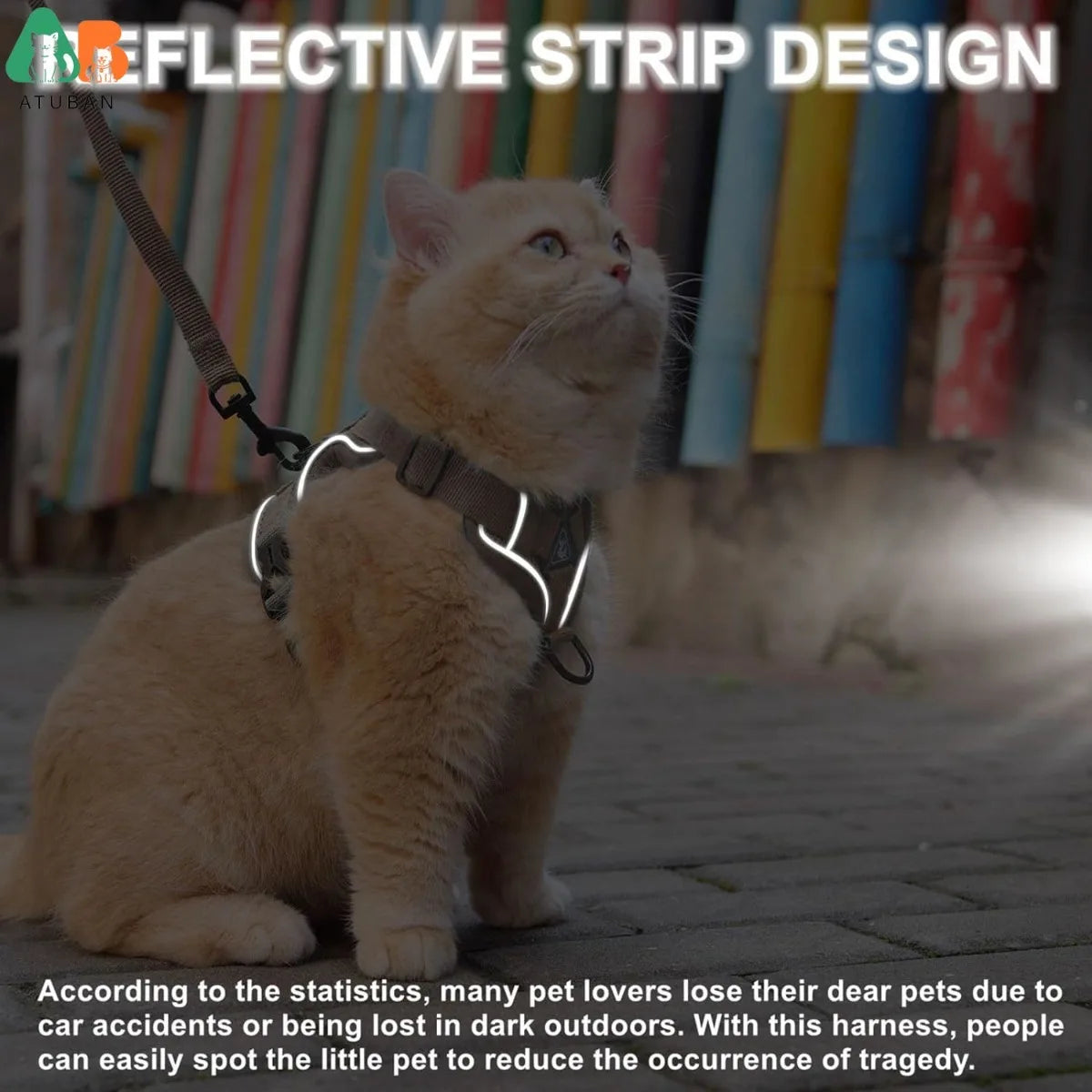 reflective cat harness for night time walks