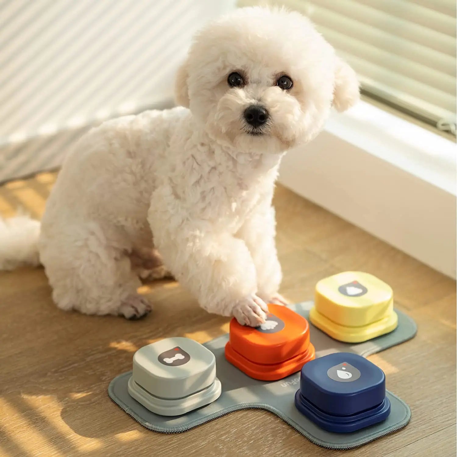 Dog training sound buttons for pets