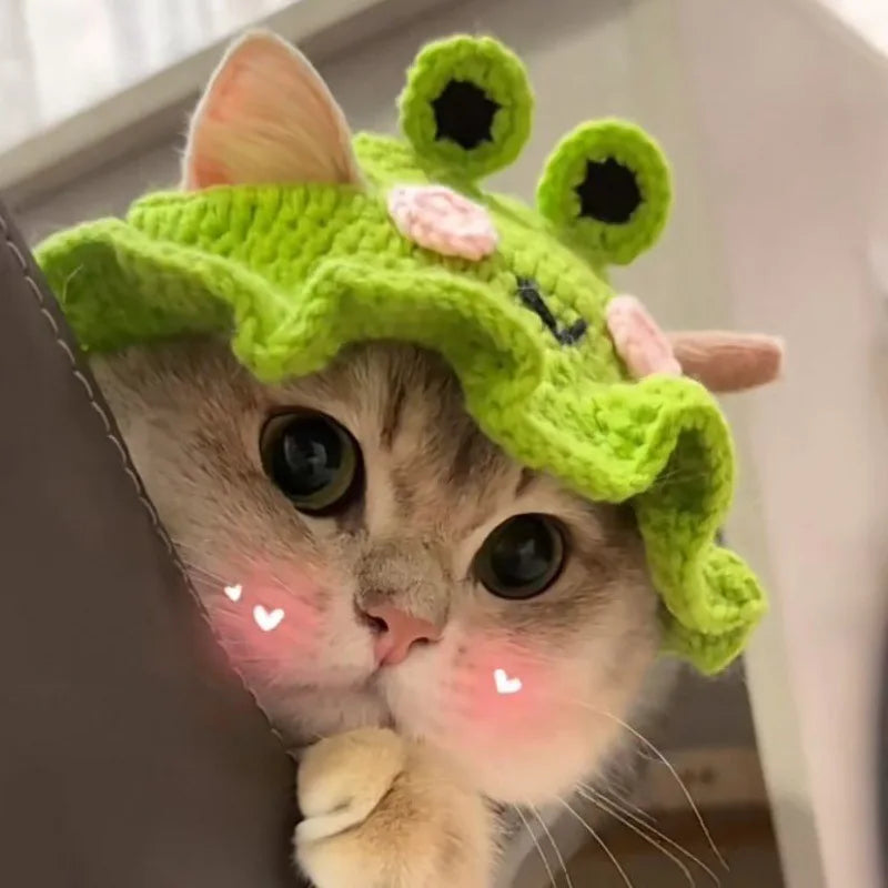 Funny Cat Hat - Cute Woven Hat for Kittens & Cats | Knitted Headwear Present for Pet's & Photo Shoots