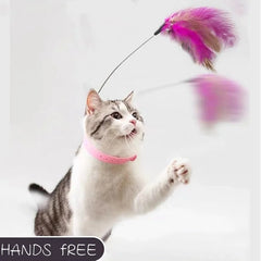 Interactive Cat Feather Collar Teasing Toy with Bell - Fun Pet Collar Kitten/Cat Toy - Crazy Pawz  Collar 