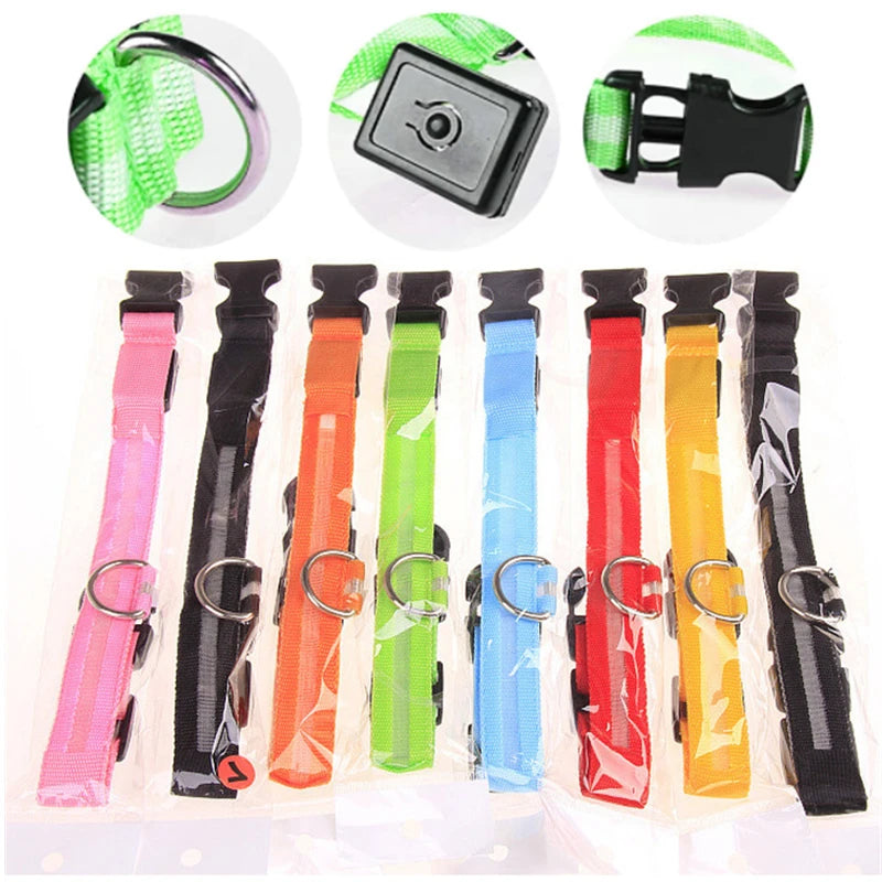 Rechargeable USB LED Glowing Dog Collar - Bright Safety Collar for Dogs & Cats XS-XL - Pet Collar -  Crazy Pawz