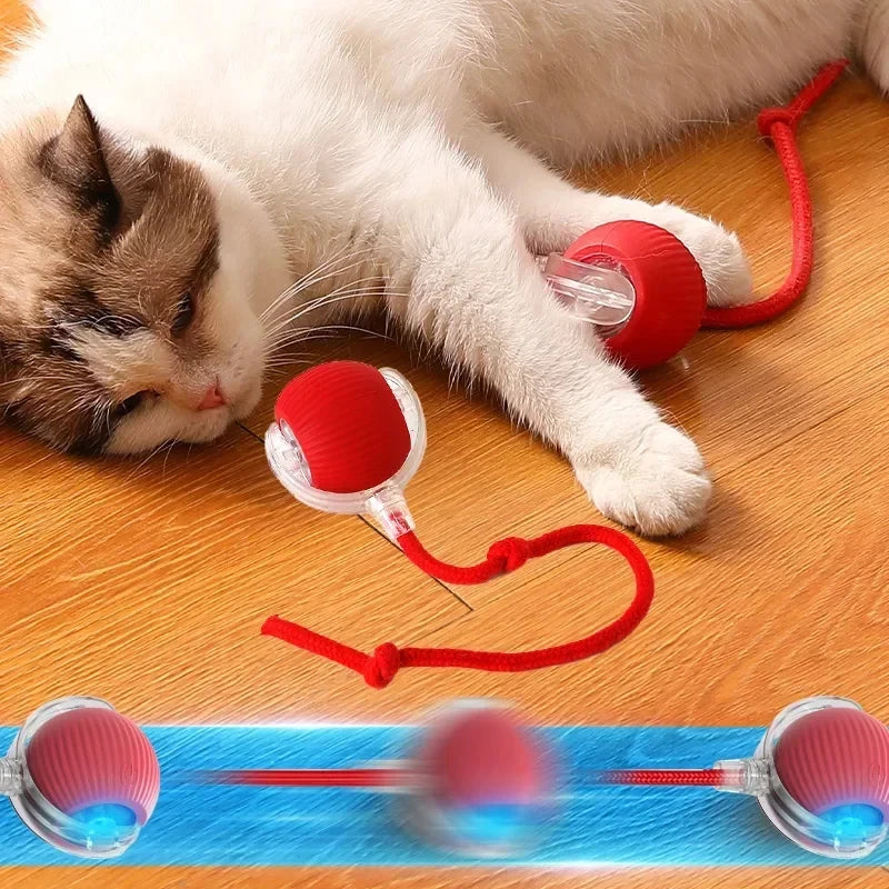 Interactive Electric Cat Ball String Chase Toy -  Toys for Pet Cats/Kittens - Crazy Pawz  Chase Toy 