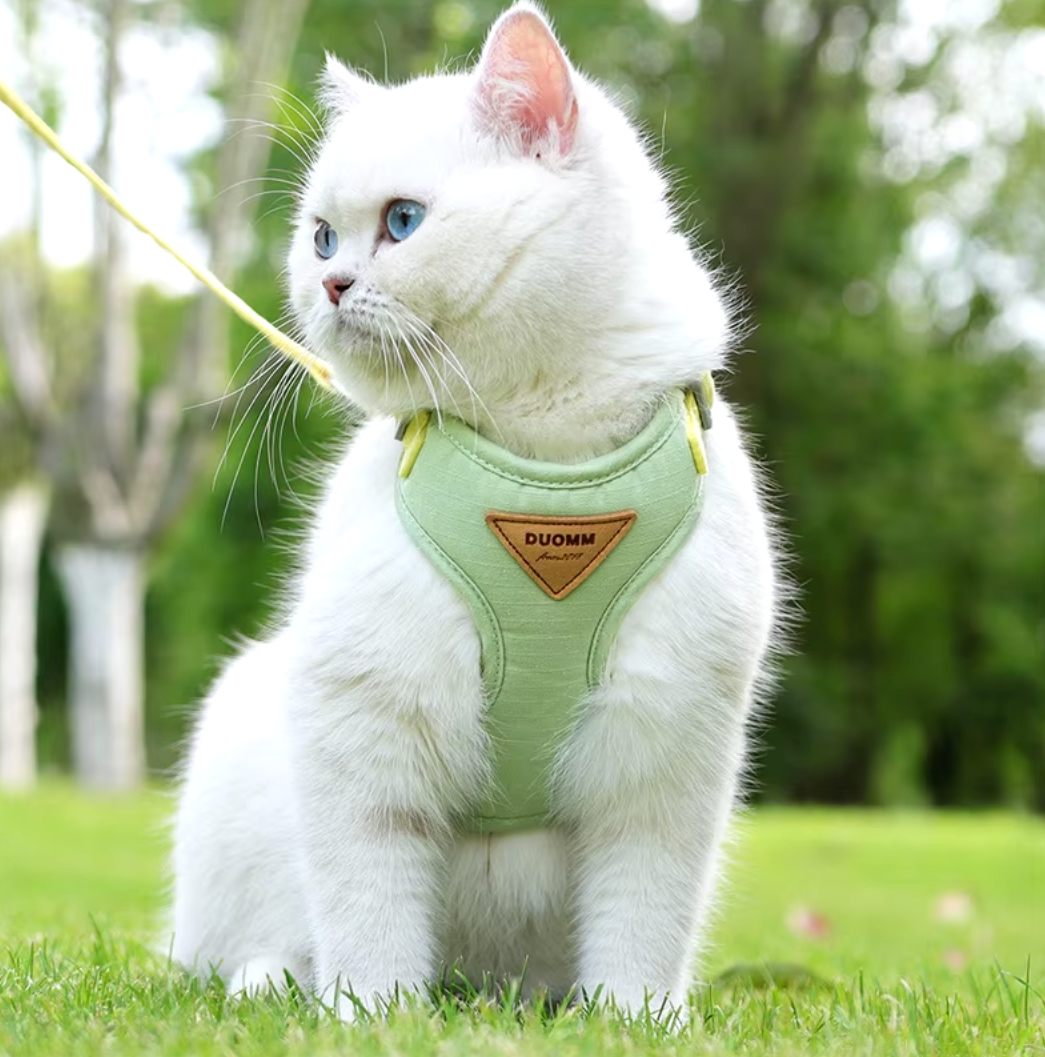 Adjustable Cat & Puppy Harness Leash Set - Escape-Proof Pet Vest XS-L - Harness -  Crazy Pawz