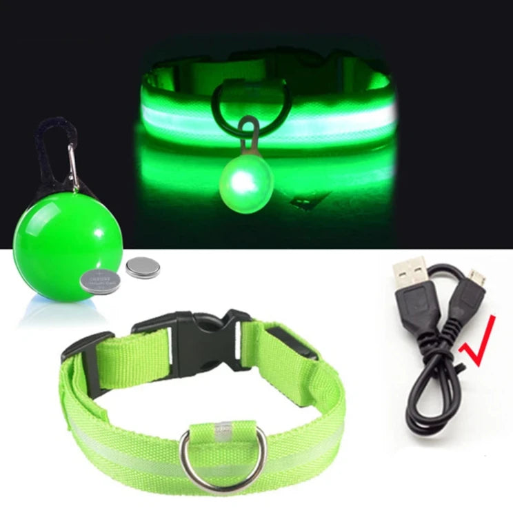 light up pet dog collar green