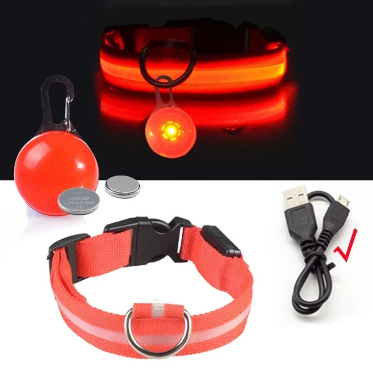 light up pet dog collar orange