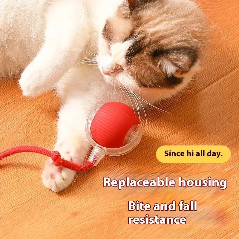 Interactive Electric Cat Ball String Chase Toy -  Toys for Pet Cats/Kittens - Crazy Pawz  Chase Toy 