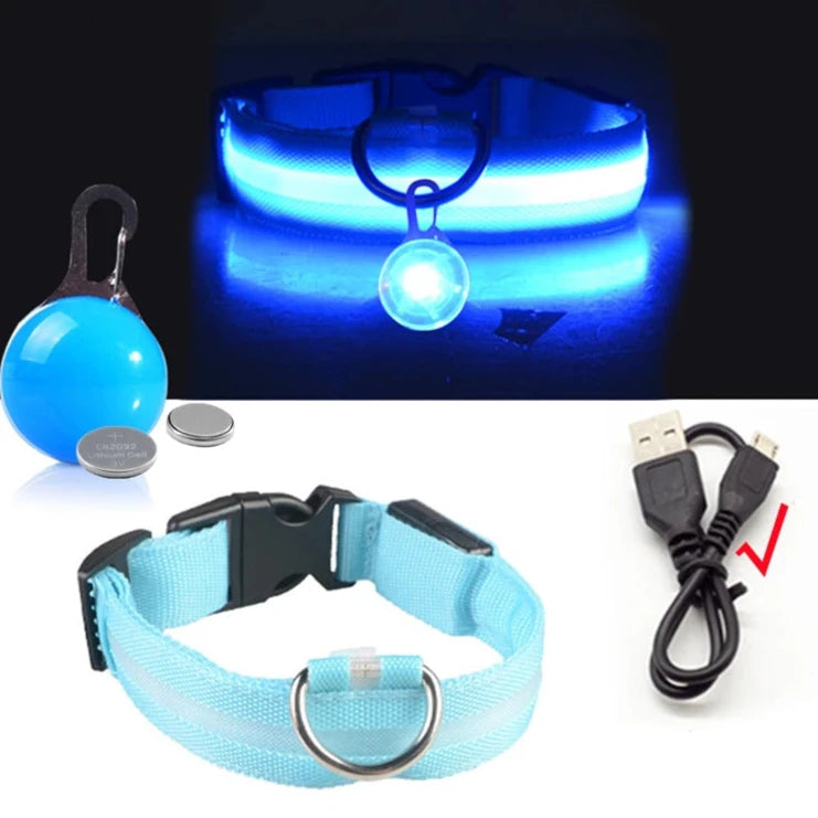 Rechargeable USB LED Glowing Dog Collar - Bright Safety Collar for Dogs & Cats XS-XL - Pet Collar -  Crazy Pawz